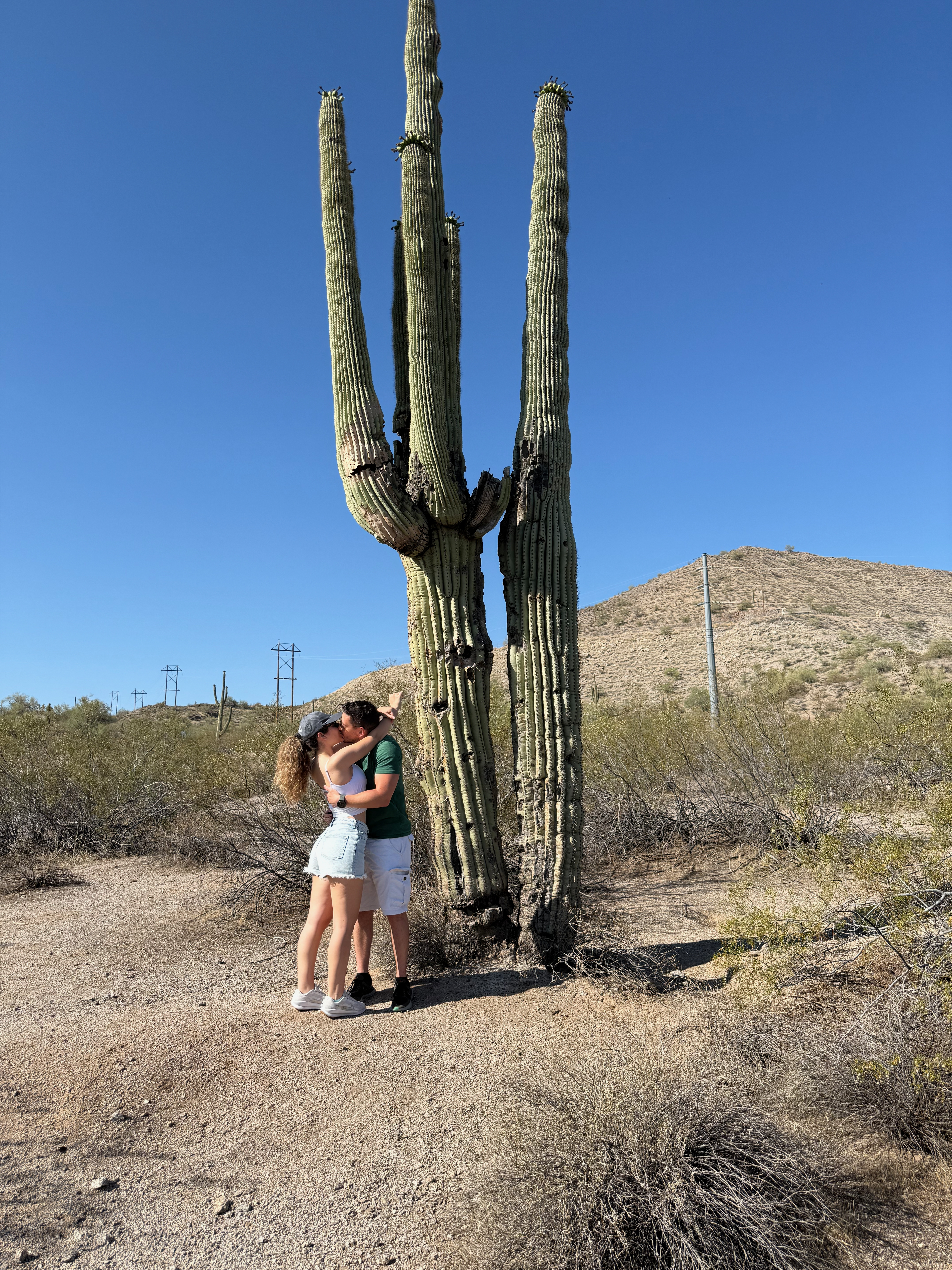 Foivos and Alexandra kissing beside a tall cactus in the desert