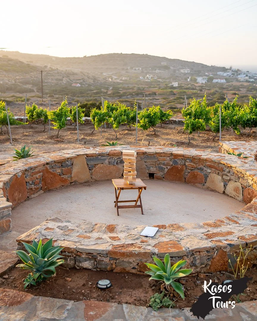 The vineyard and stone courtyard at Ktima Mastromanoli